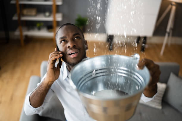 Best Carpet water damage restoration  in Oakmont, PA