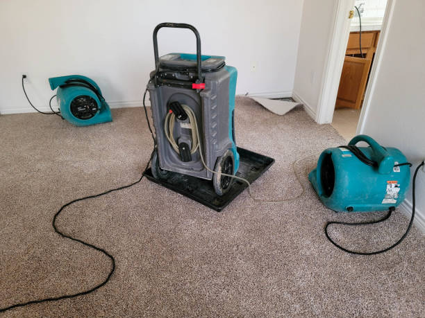 Best Residential water damage restoration  in Oakmont, PA