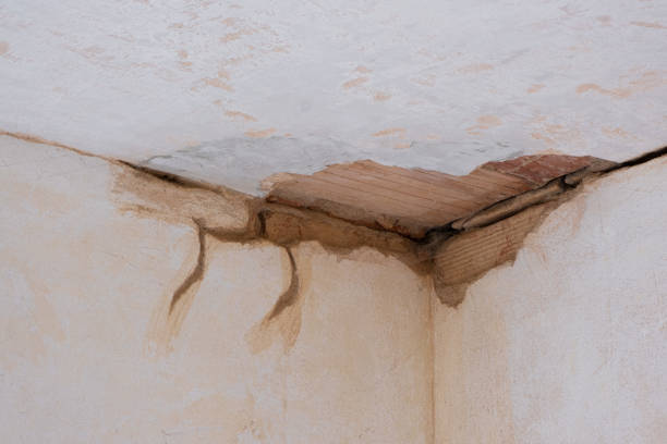  Oakmont, PA Water damage restoration Pros