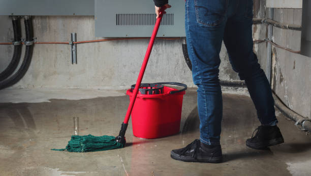 Best Professional water damage repair  in Oakmont, PA