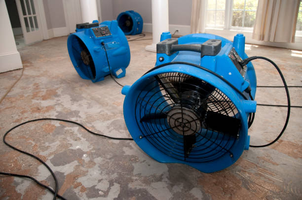 Best Water damage restoration near me  in Oakmont, PA