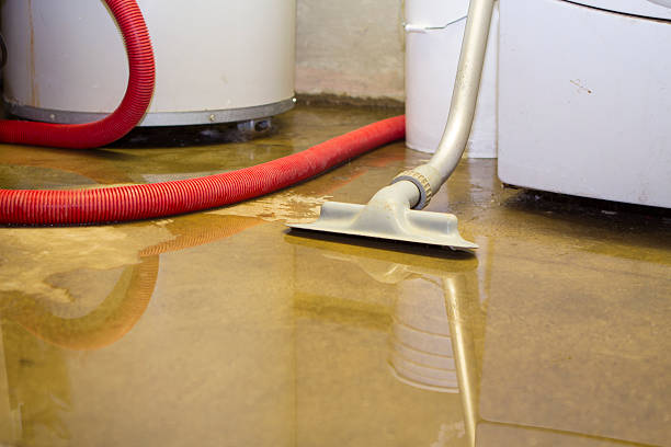 Best Fire Damage Restoration  in Oakmont, PA