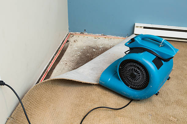 Best Ceiling water damage repair  in Oakmont, PA